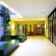 gang afdeling demente ouderen advisering